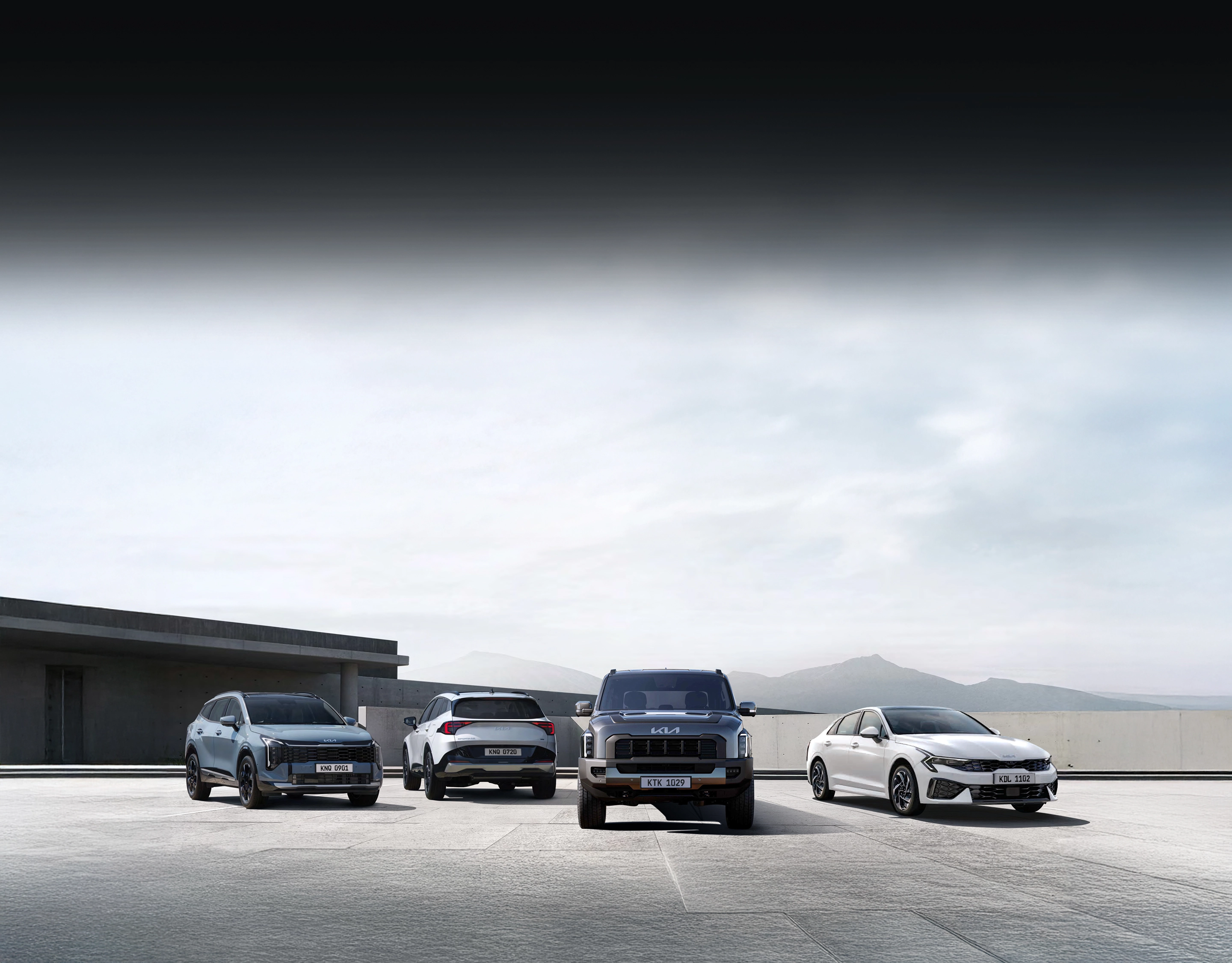 기아 차량 라인업이 함께 주차된 이미지