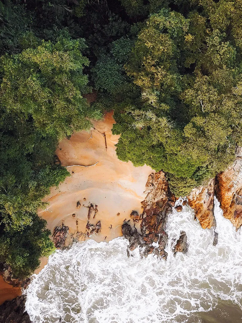 Inspiration from Nature