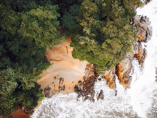 Inspiration from Nature