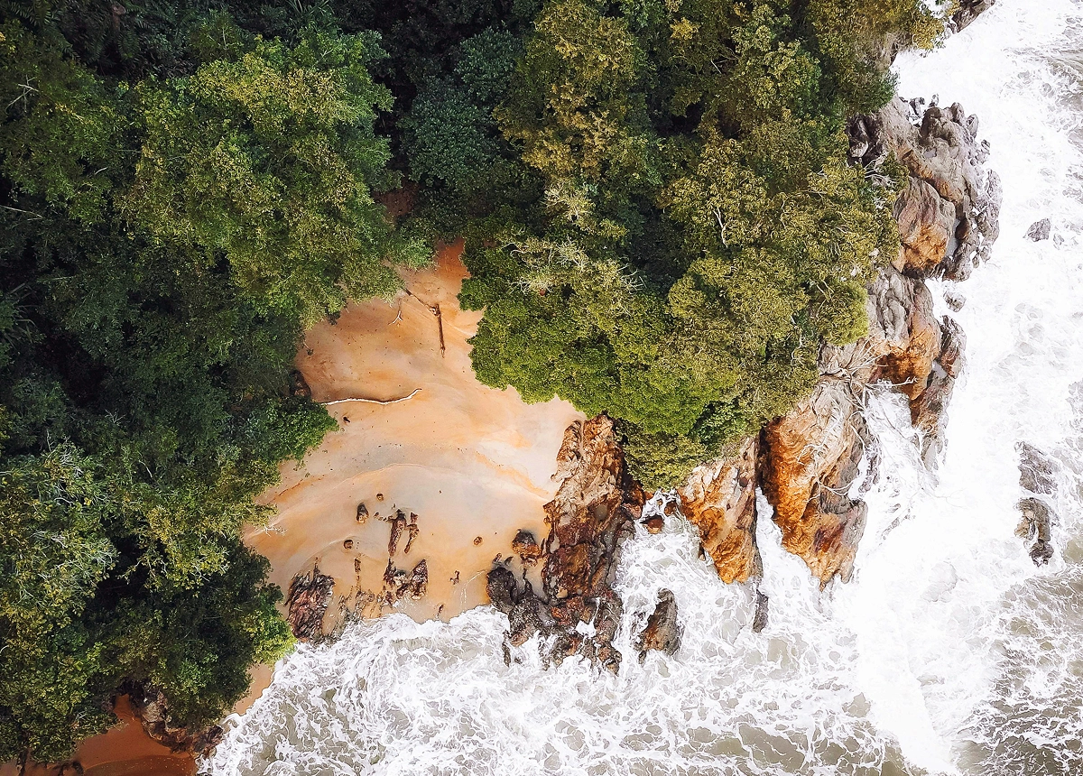 Inspiration from Nature