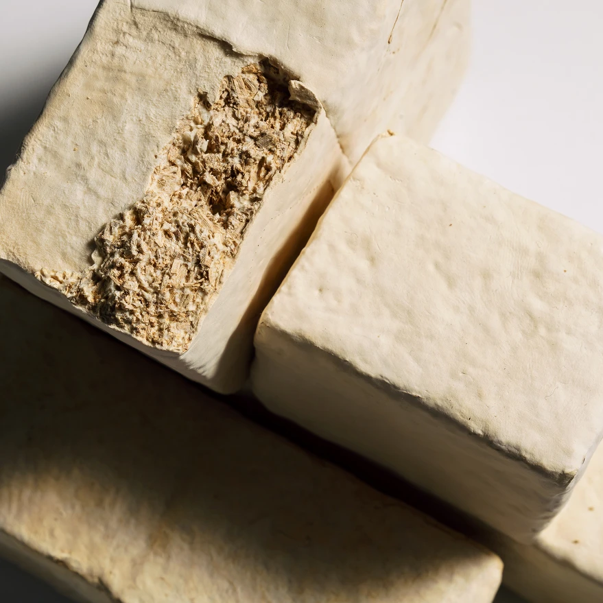 버섯 균사체를 압축·가공한 마이셀리움 가죽 대체재 시제품 단면