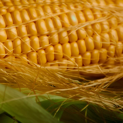 탄소 배출 저감을 고려한 바이오 폴리우레탄 소재 질감