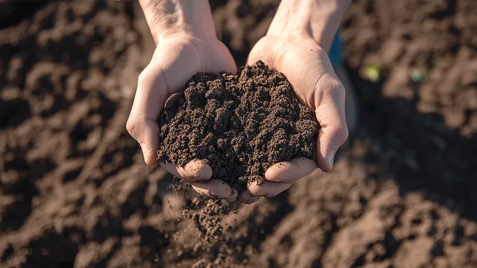 Close-up of hands holding soil